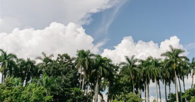 Voyager à Cuba