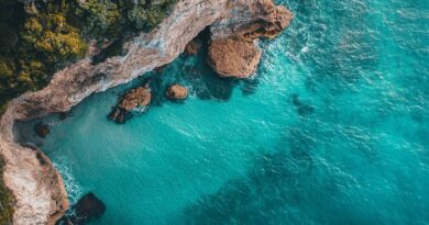 Auckland et Rotorua : Les deux joyaux de la Nouvelle-Zélande à découvrir