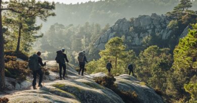 Circuit de randonnée les 25 bosses de Fontainebleau : parcours entre paysages époustouflants