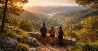 découvrez le mirador de san miguel alto, un lieu idéal pour une évasion en plein air et profiter de panoramas exceptionnels.