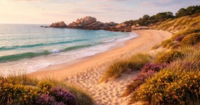 découvrez les plages en bretagne, un véritable paradis naturel où les amoureux de la nature peuvent profiter de paysages sauvages, d'eaux cristallines et d'une biodiversité riche.