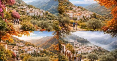 découvrez les meilleures saisons pour visiter nocelles et profitez pleinement de ses trésors naturels, culturels et gastronomiques tout au long de l'année.