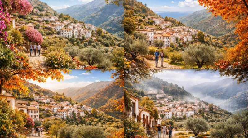 découvrez les meilleures saisons pour visiter nocelles et profitez pleinement de ses trésors naturels, culturels et gastronomiques tout au long de l'année.