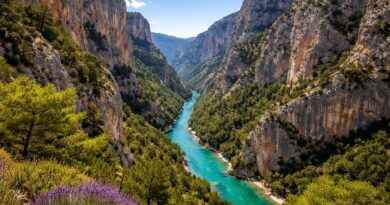 plongez au cœur des gorges du verdon, le plus grand canyon d'europe, et vivez une immersion unique au cœur de la nature provençale spectaculaire.