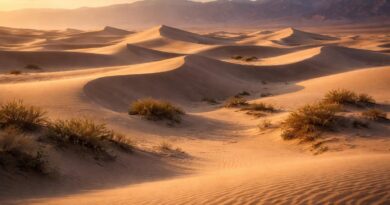 découvrez les mesquite flat sand dunes, un paysage de dunes de sable en constante transformation au cœur du désert, offrant des panoramas saisissants et une nature fascinante.