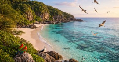 découvrez l'île de raine à travers un guide complet dédié aux passionnés de photographie, avec des conseils pour capturer ses paysages uniques et sa faune exceptionnelle.