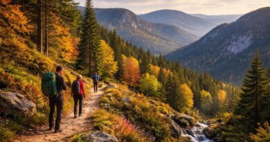 découvrez les plus belles randonnées des vosges, offrant des panoramas à couper le souffle et une immersion totale dans la nature préservée.