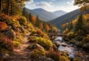 explorez les plus beaux sites naturels des vosges pour des randonnées inoubliables alliant paysages magnifiques, nature préservée et aventure en plein air.