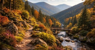 explorez les plus beaux sites naturels des vosges pour des randonnées inoubliables alliant paysages magnifiques, nature préservée et aventure en plein air.