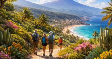 découvrez tenerife avec notre guide pratique complet pour une aventure inoubliable : conseils, lieux incontournables et astuces pour profiter pleinement de votre séjour.