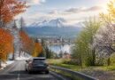 découvrez comment optimiser votre road trip en suède en profitant pleinement des différentes saisons pour des paysages et activités uniques tout au long de l'année.