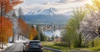 découvrez comment optimiser votre road trip en suède en profitant pleinement des différentes saisons pour des paysages et activités uniques tout au long de l'année.